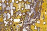 Polished Morgan Hill Poppy Jasper Slab - California #316100-1